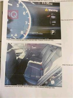 نيسان ماكسيما